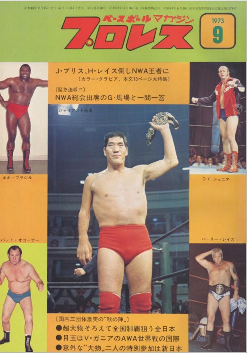 Amazon.co.jp: パンフレット 全日本プロレス 1974 新春NWA